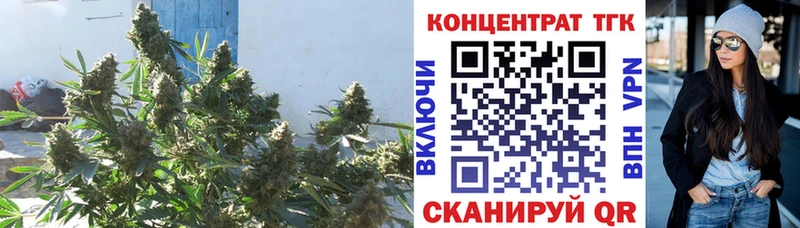 МЕГА ссылки  Тольятти  ТГК Wax 